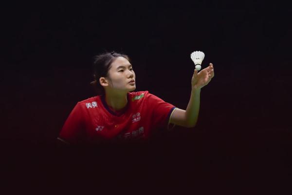 其高水平的 其高水平的